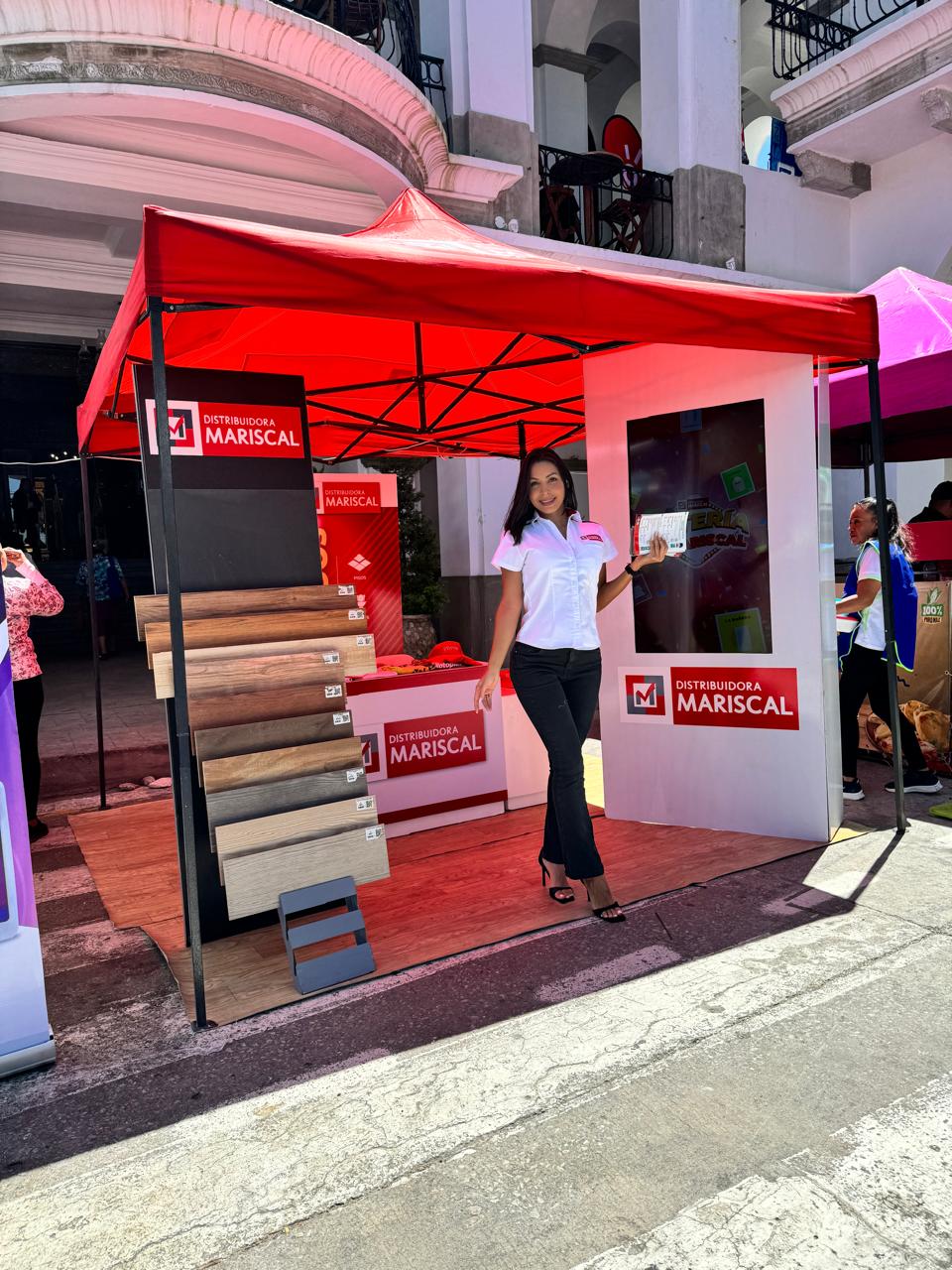 Servicio de Promotores