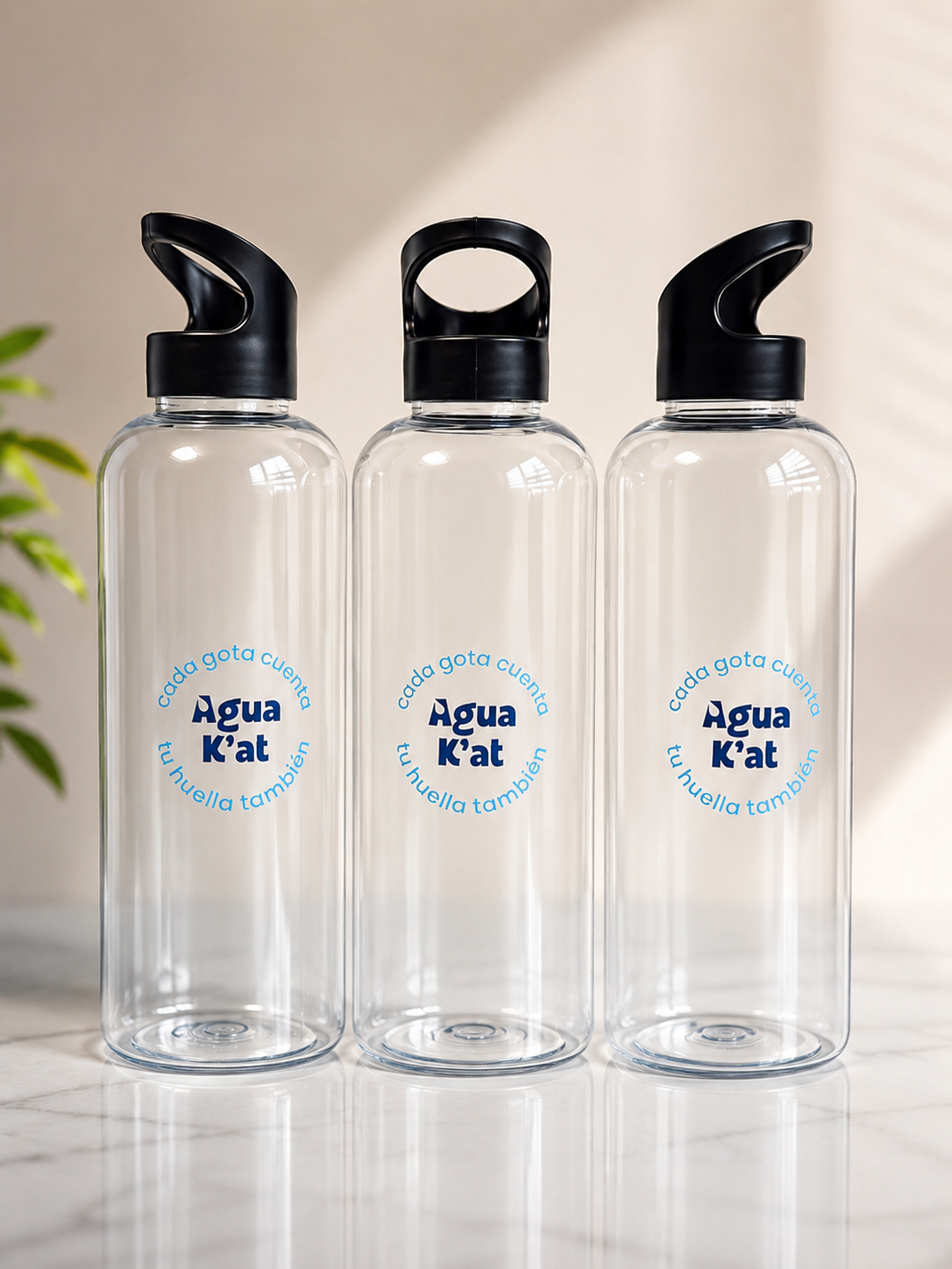 Tumblers y Pachones